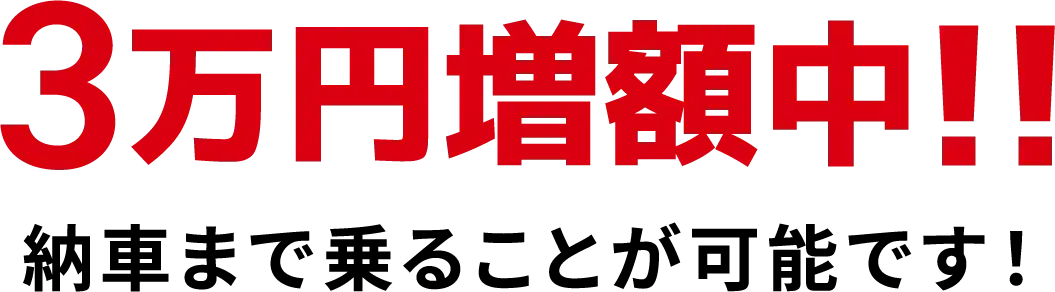 3万円増額中！！納車まで乗ることが可能です！