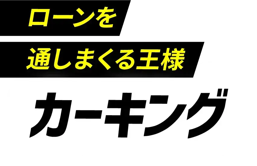 ローンを通しまくる王様 カーキング